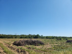 vente Terrain agricole Trebes