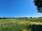vente Terrain agricole Trebes