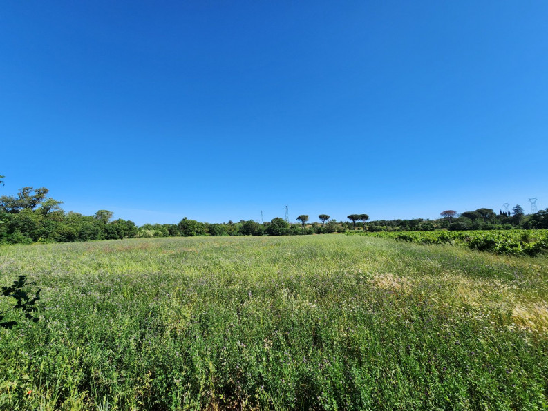 vente Terrain agricole Trebes - Photo 2