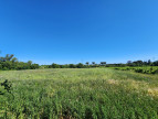 vente Terrain agricole Trebes