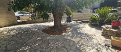 vente Pavillon Trebes