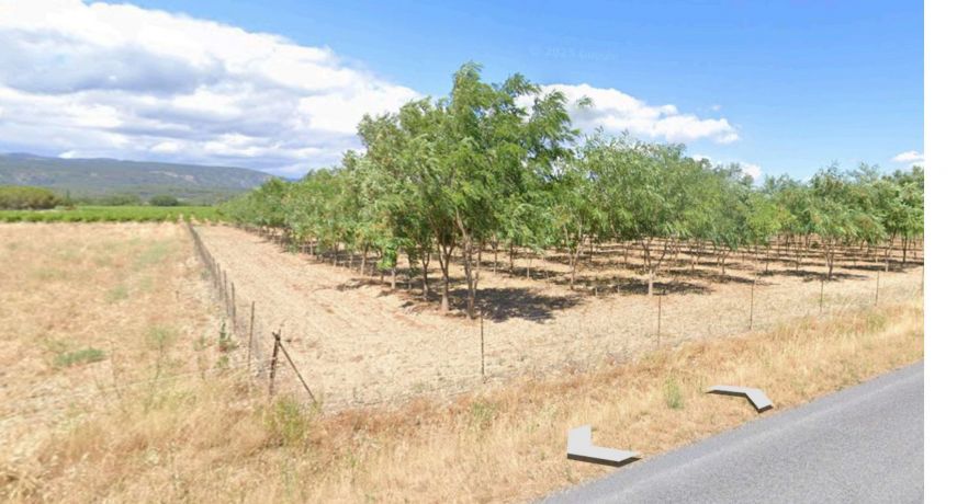 vente Terrain agricole Laure Minervois