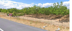 vente Terrain agricole Laure Minervois