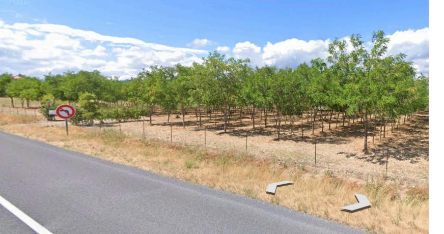 vente Terrain agricole Laure Minervois