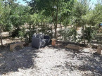 vente Terrain agricole Laure Minervois