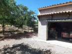 vente Terrain agricole Laure Minervois