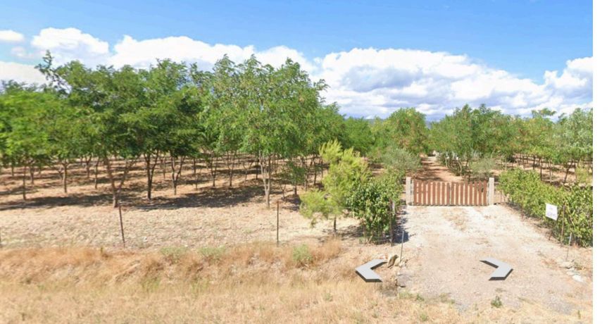 vente Terrain agricole Laure Minervois