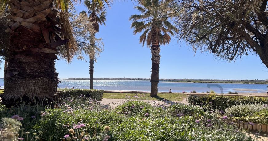 vente Appartement Gruissan