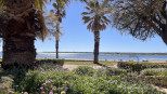 vente Appartement Gruissan
