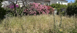 vente Maison Narbonne