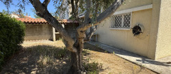 vente Maison Narbonne