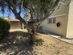 vente Maison Narbonne