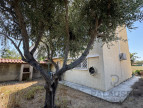 vente Maison Narbonne