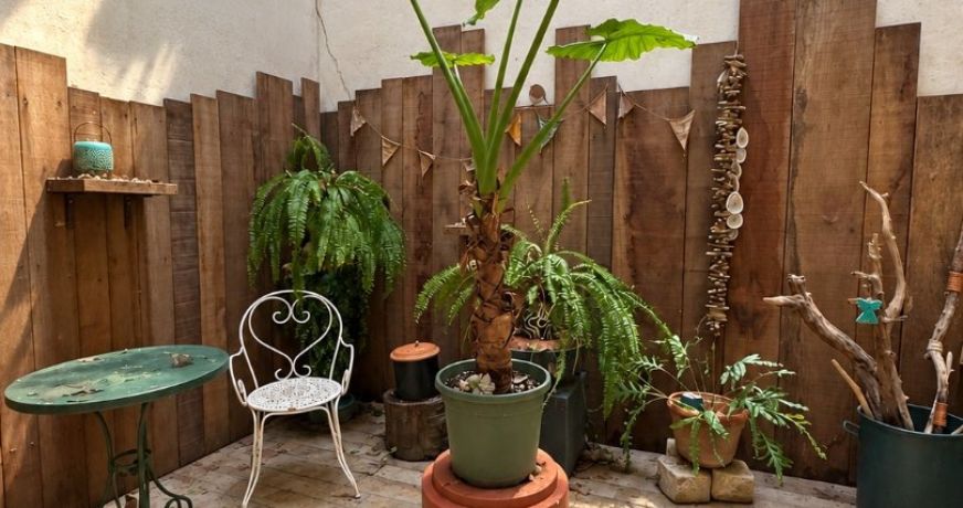 location Appartement Narbonne