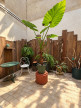 location Appartement Narbonne