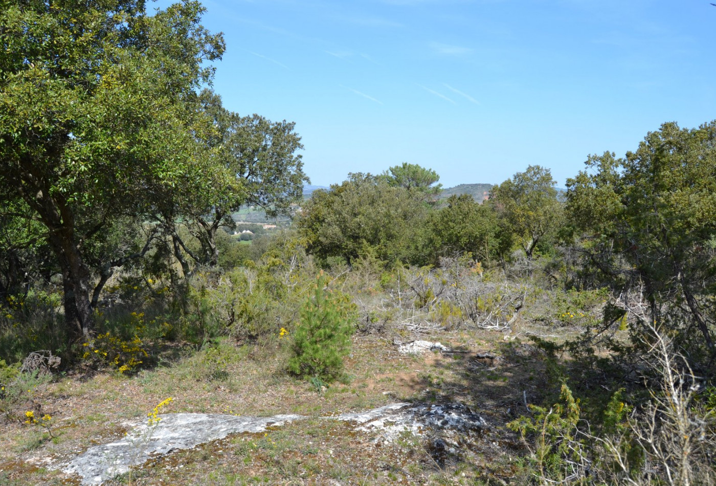 vente Terrain non constructible Granes - Photo 6