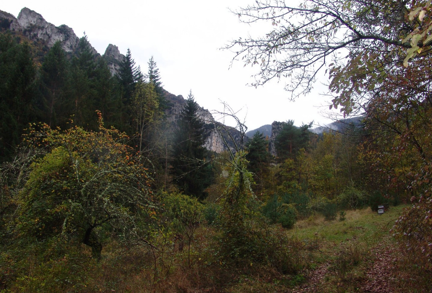 sale Propriété Axat - Photo 10