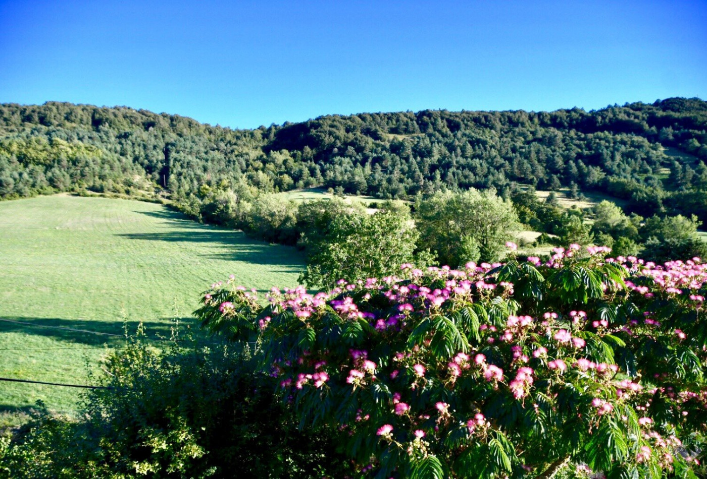 sale Maison Saint Louis Et Parahou - Photo 3