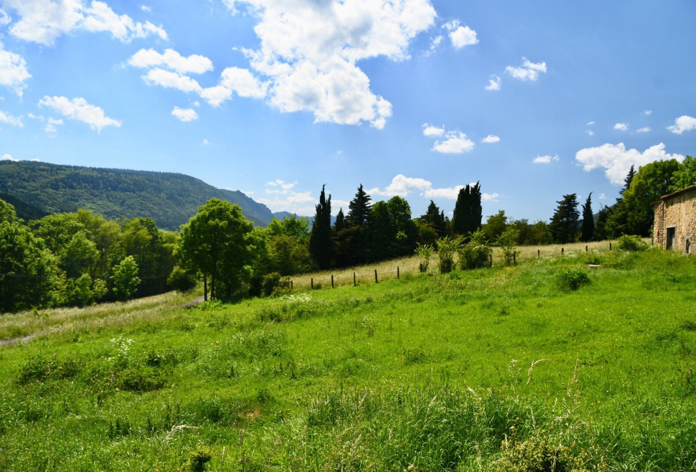 sale Maison Saint Louis Et Parahou - Photo 10