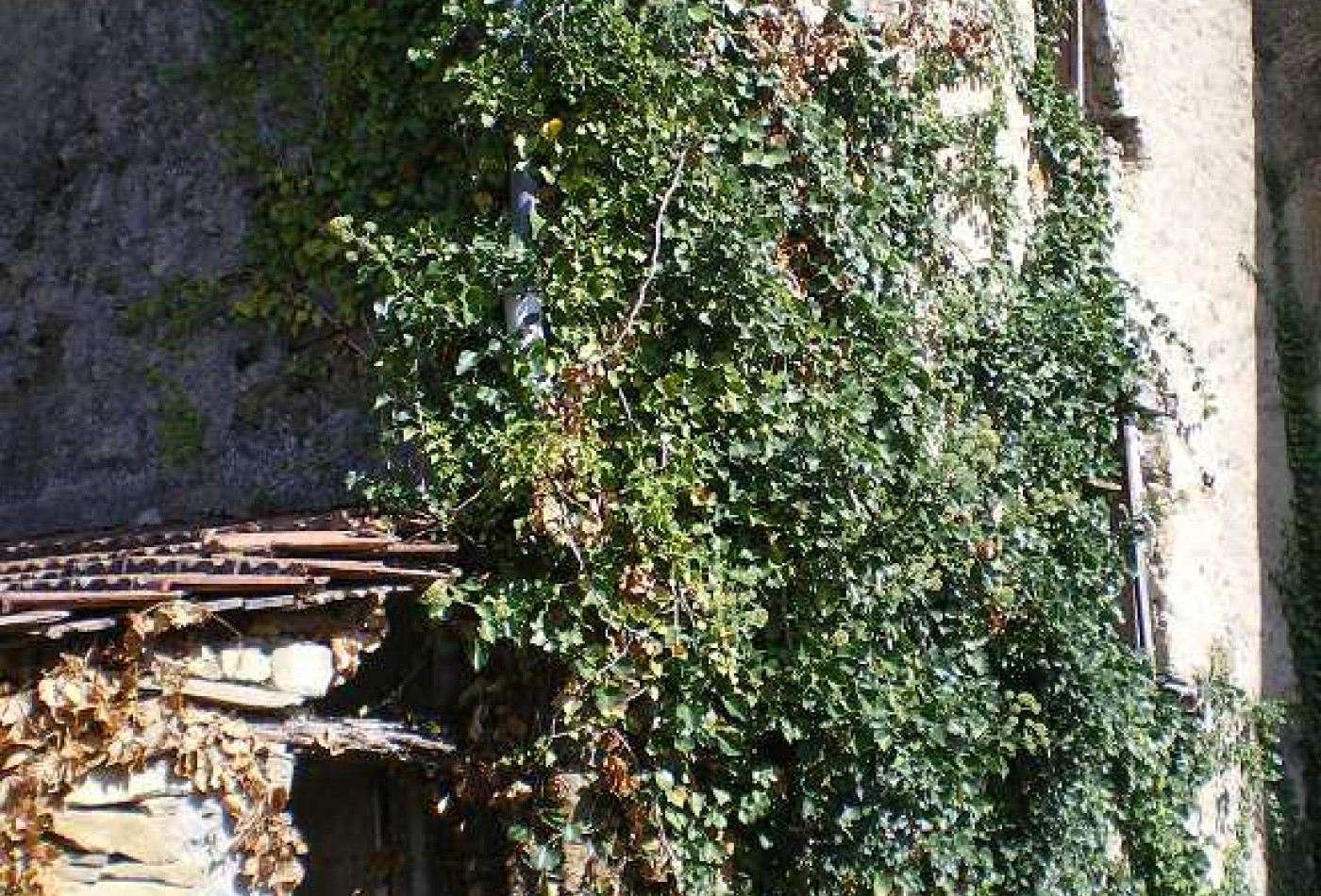 sale Grange Fa - Photo 3