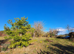 sale Maison Esperaza