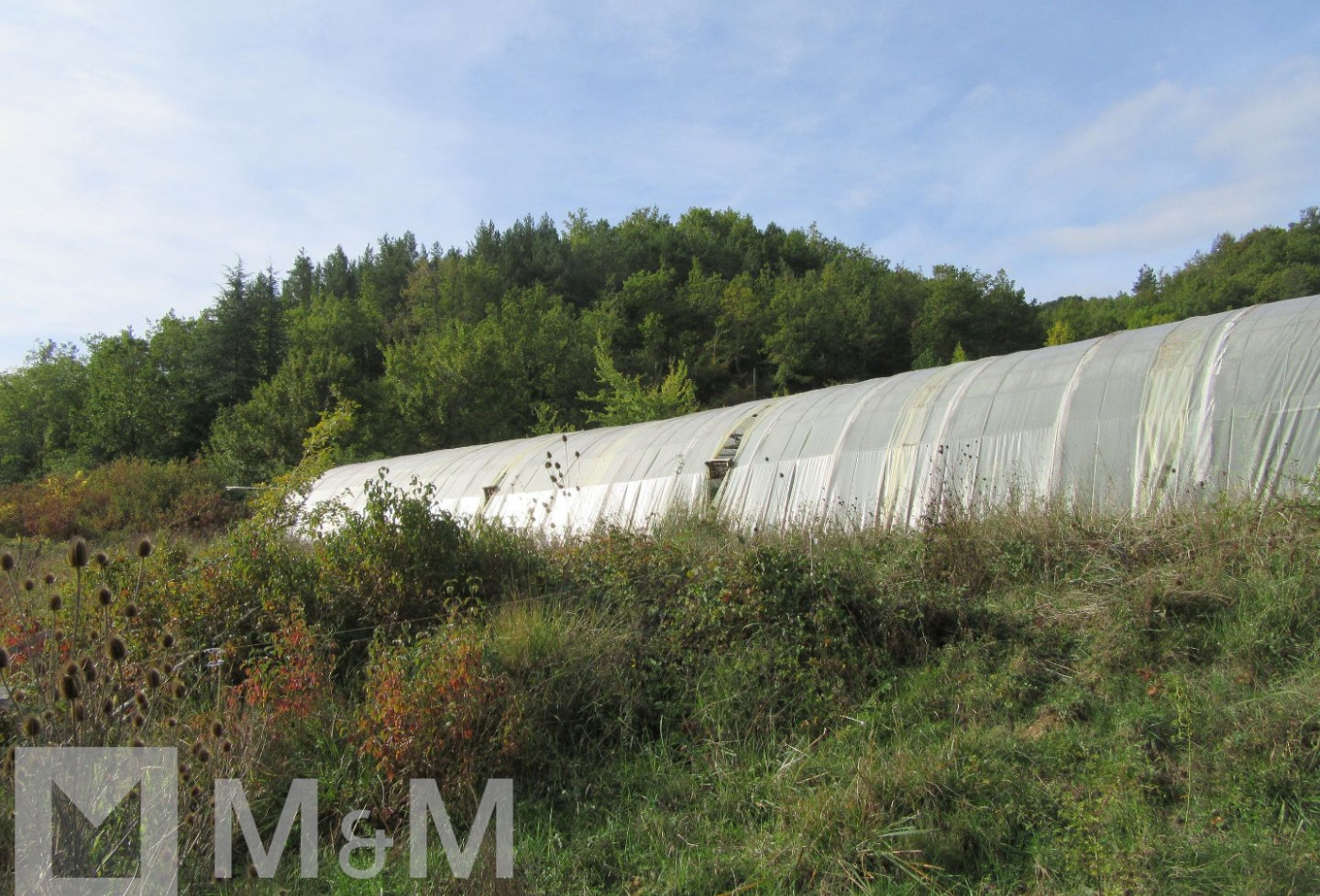 vente Terrain Fa - Photo 4