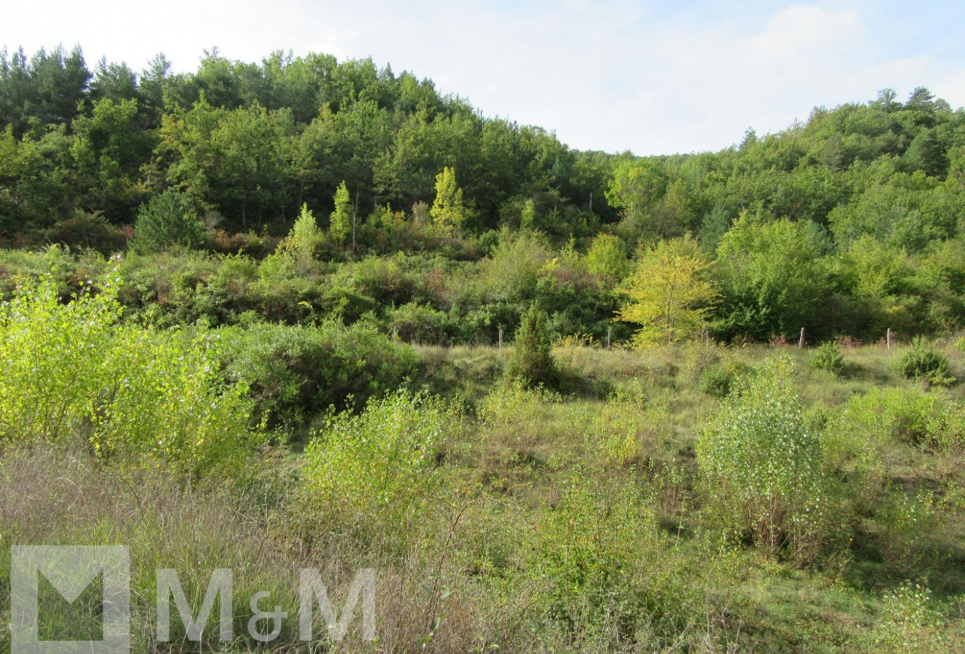 vente Terrain Fa - Photo 8