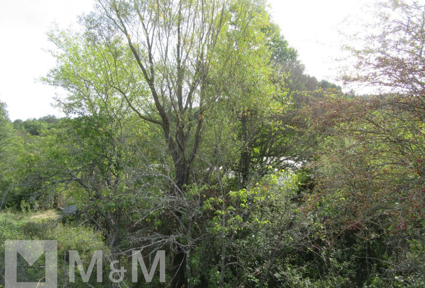 vente Terrain Fa - Photo 9