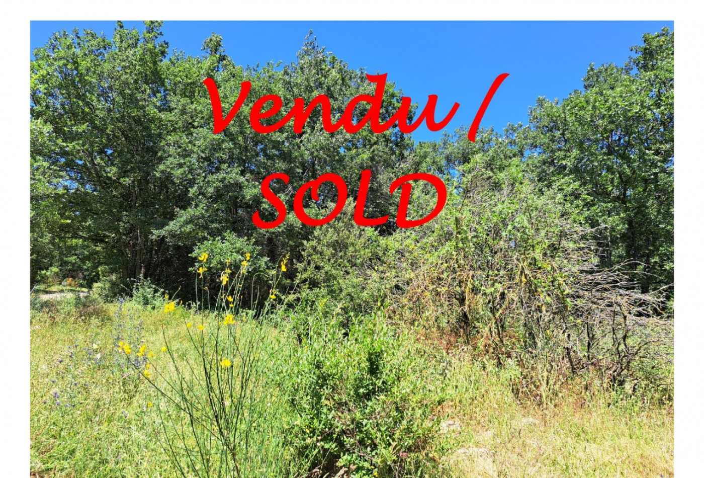 sale Terrain constructible Bugarach - Photo 1