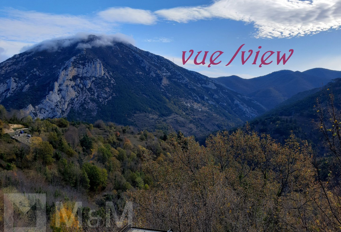 vente Maison Salvezines - Photo 10