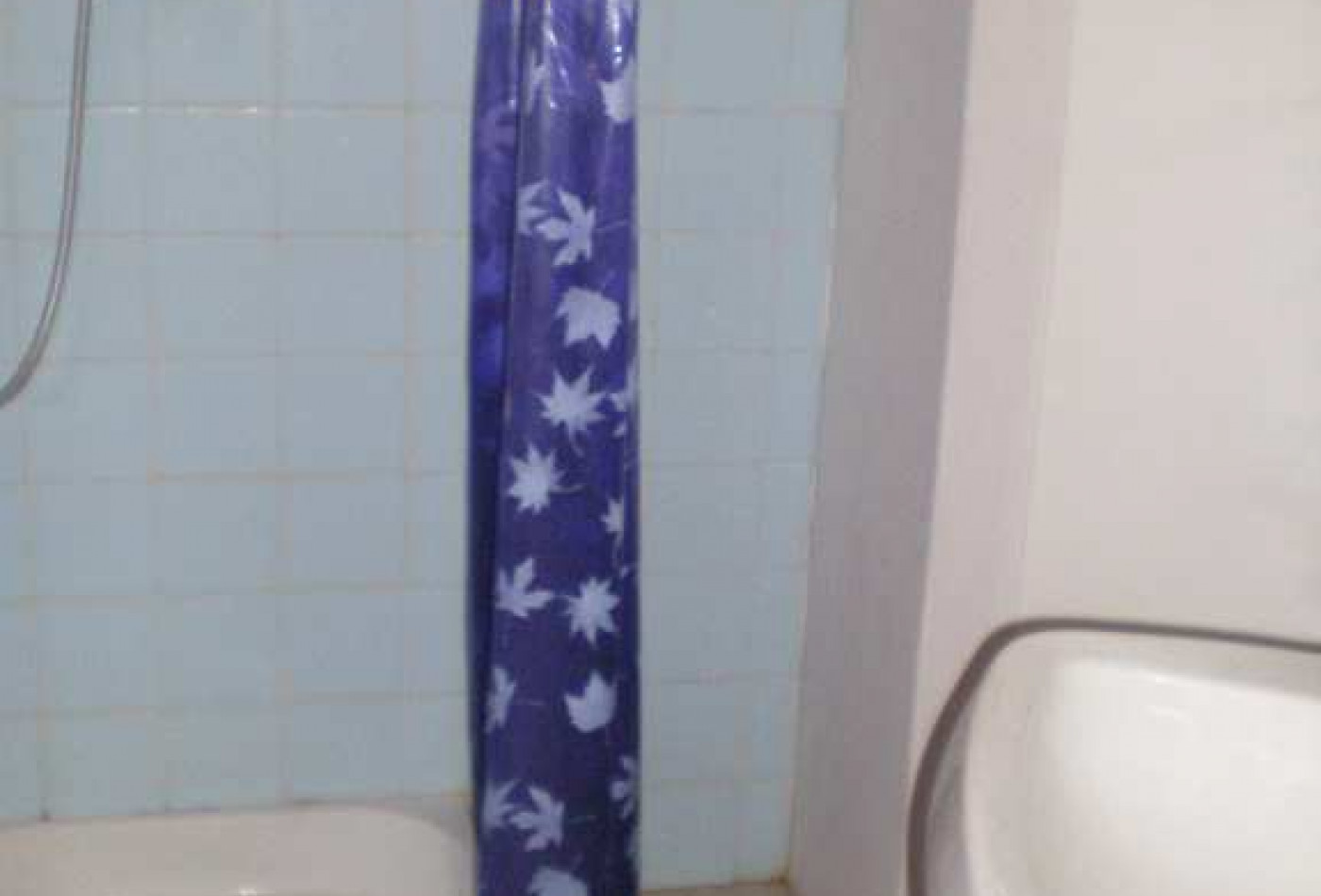 vente Immeuble Rennes Les Bains - Photo 5