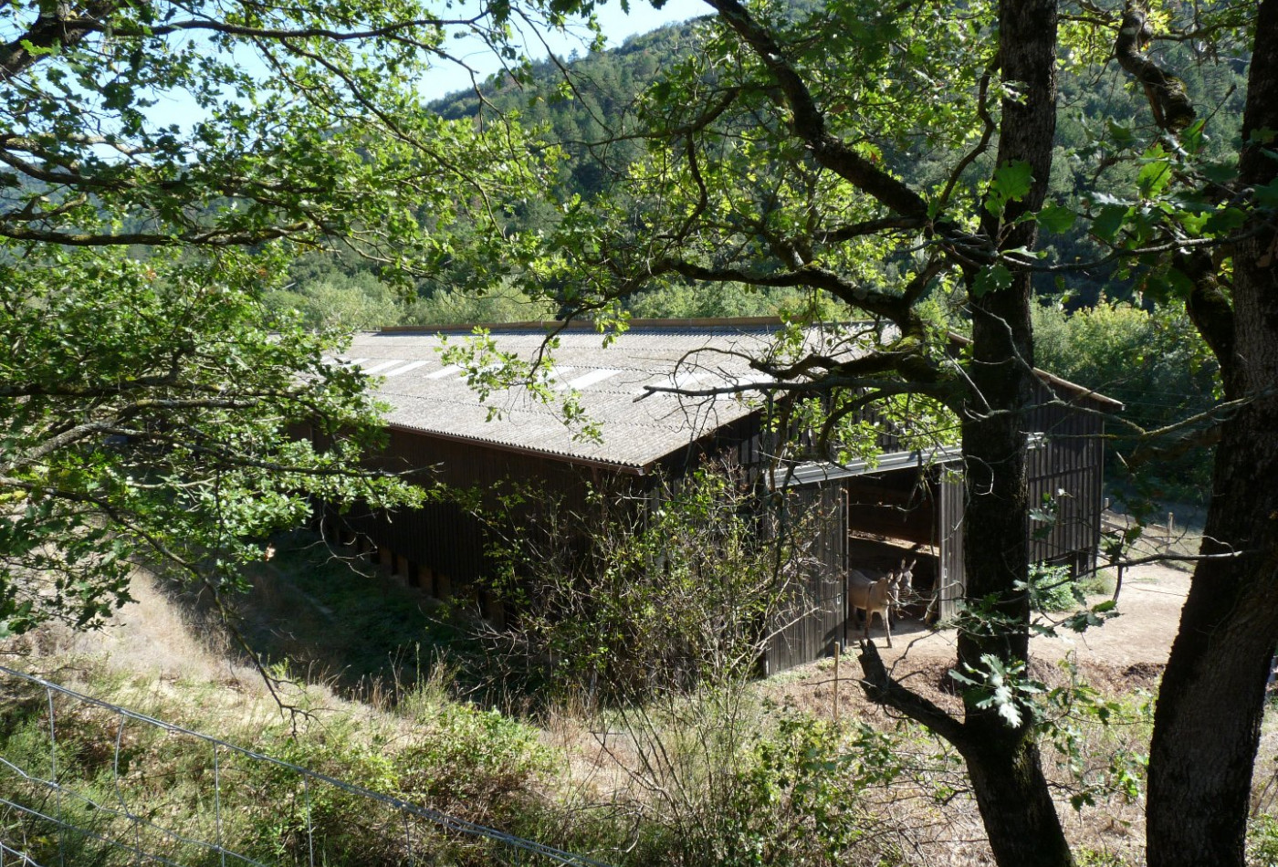 sale Domaine Saint Hilaire - Photo 4