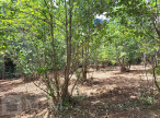vente Terrain constructible Belvianes Et Cavirac