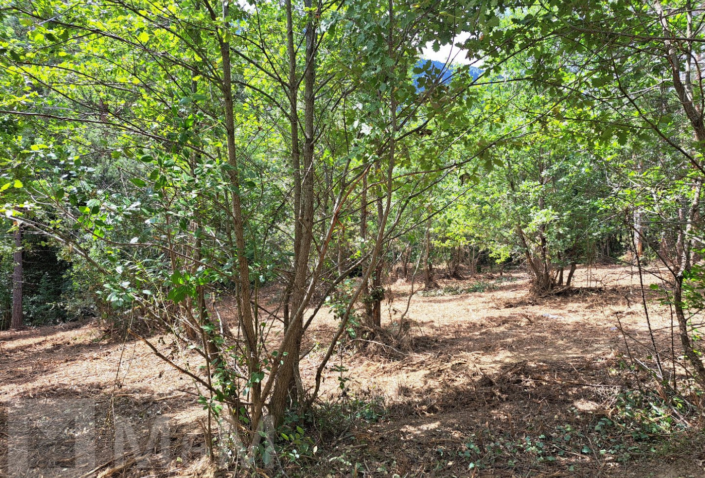 vente Terrain constructible Belvianes Et Cavirac - Photo 4