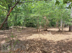 vente Terrain constructible Belvianes Et Cavirac