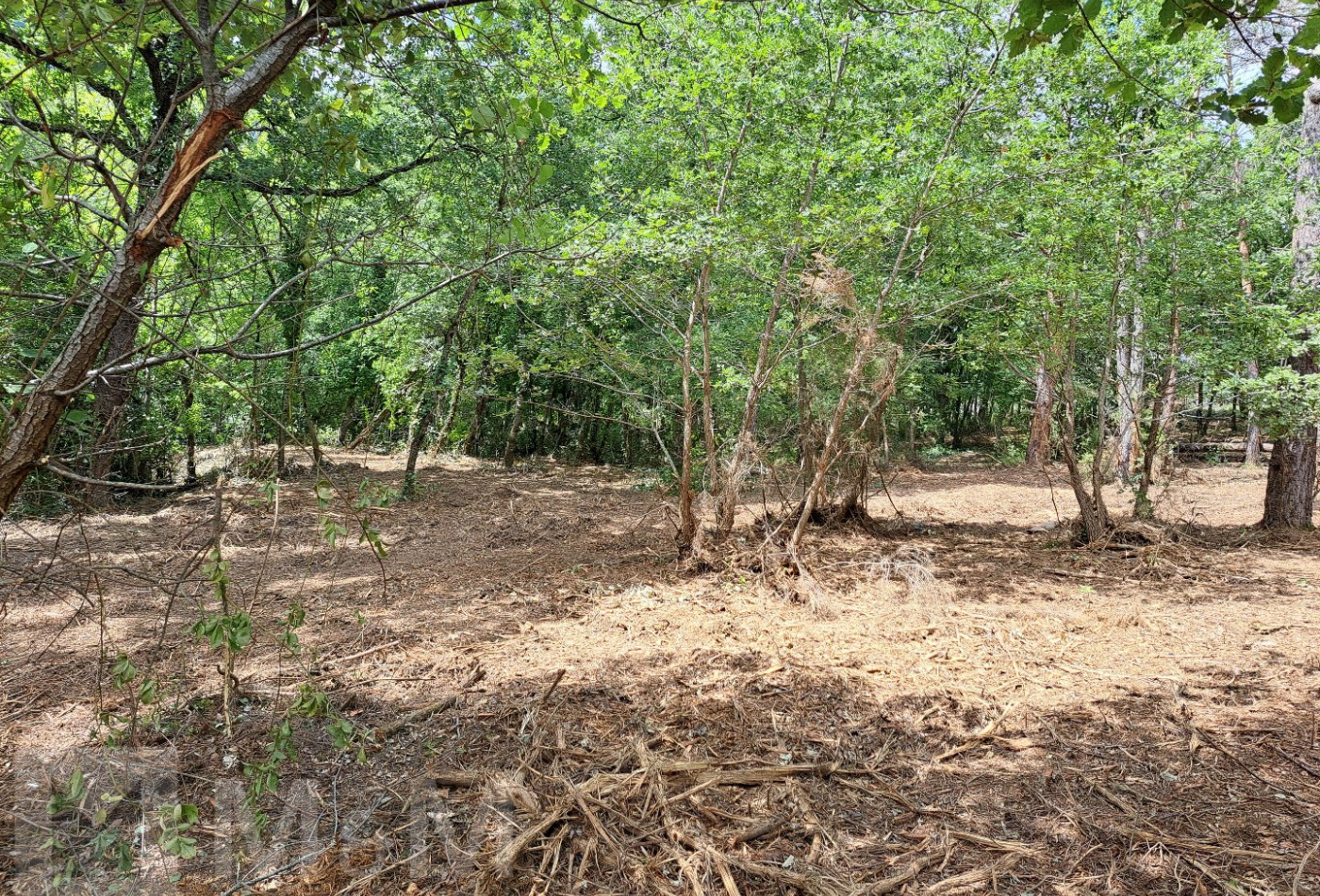vente Terrain constructible Belvianes Et Cavirac - Photo 5