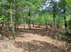 vente Terrain constructible Belvianes Et Cavirac