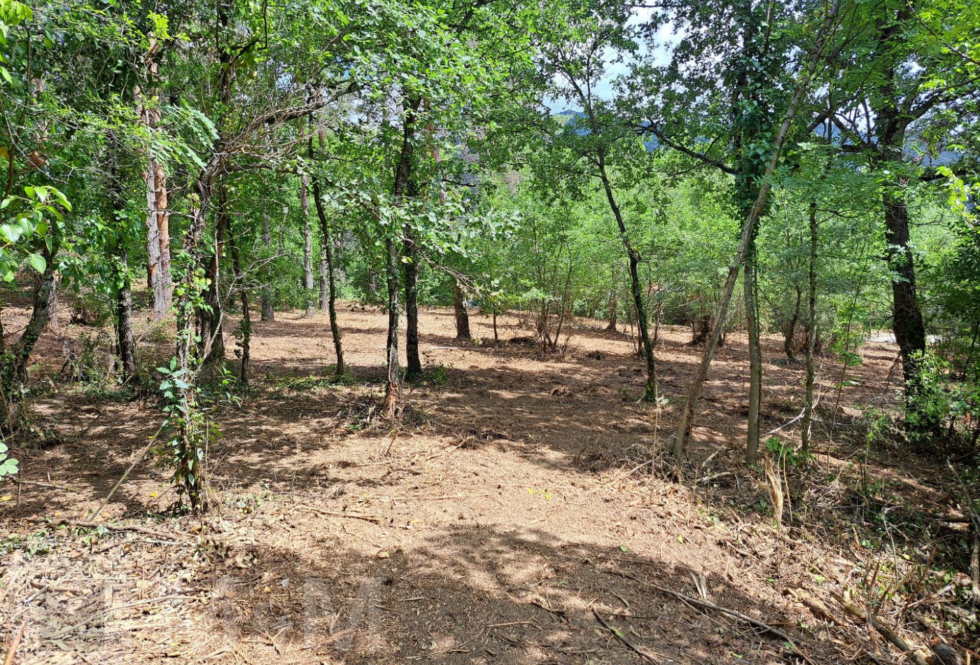 vente Terrain constructible Belvianes Et Cavirac - Photo 8