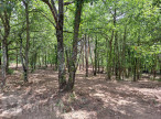 vente Terrain constructible Belvianes Et Cavirac