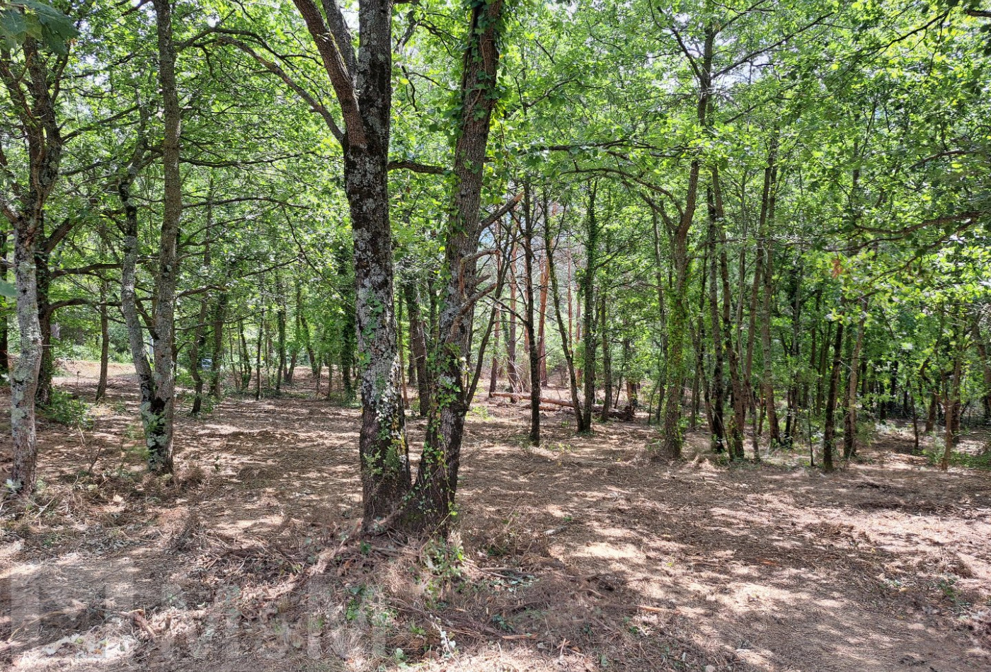 vente Terrain constructible Belvianes Et Cavirac - Photo 10