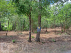 vente Terrain constructible Belvianes Et Cavirac