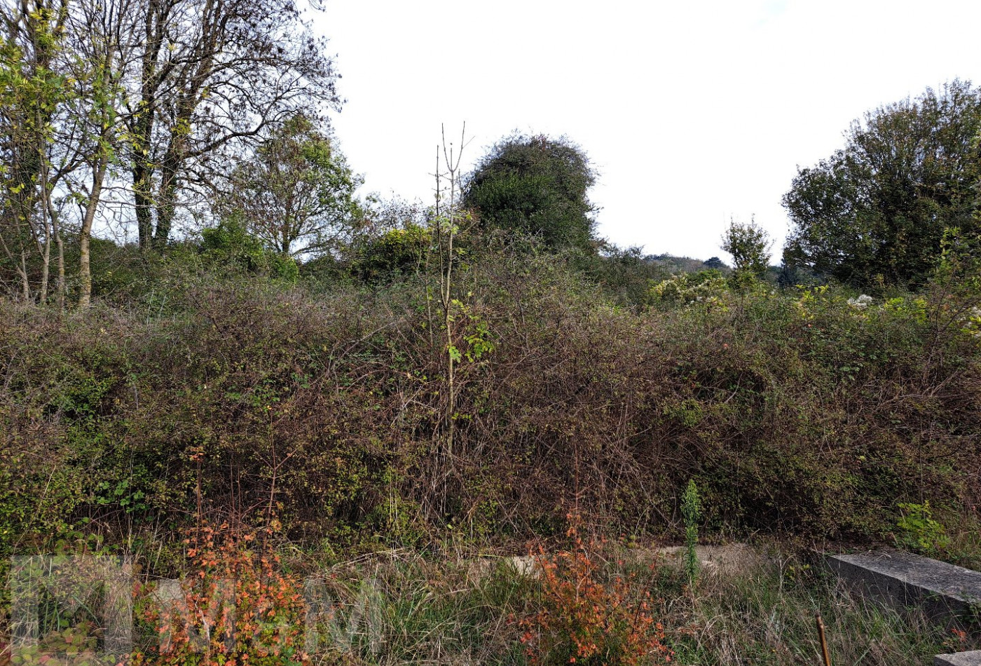 vente Terrain constructible Bugarach - Photo 8