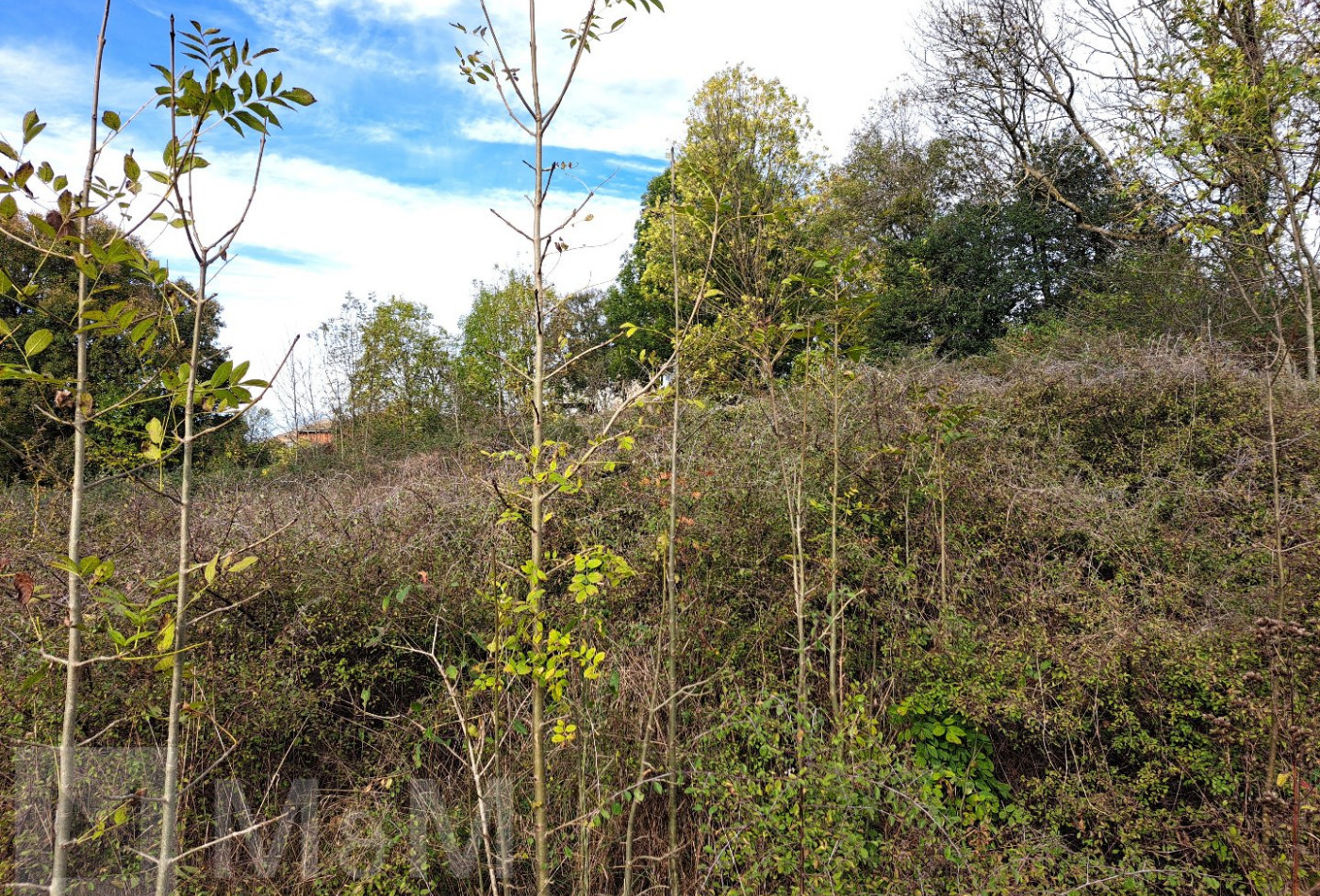 vente Terrain constructible Bugarach - Photo 9