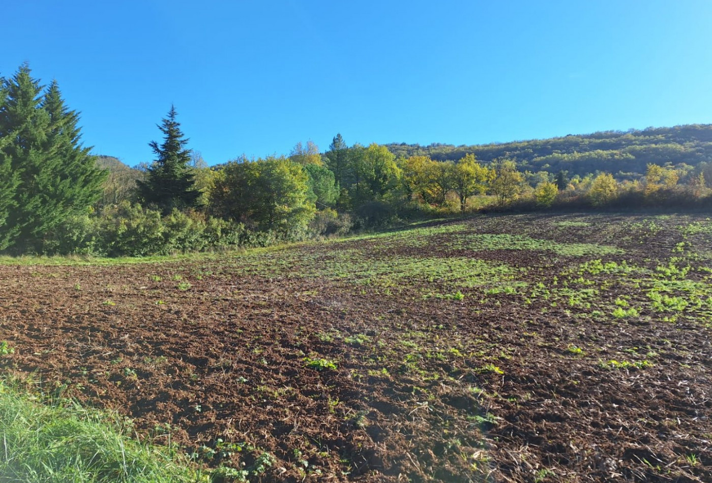vente Terrain constructible Val-du-faby - Photo 4