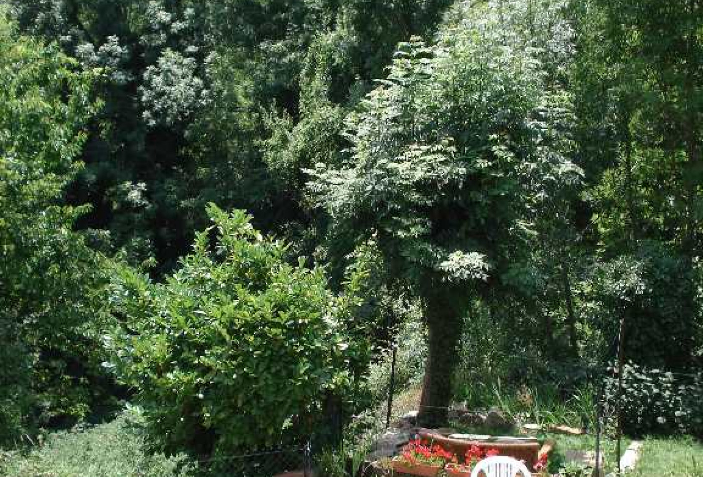 sale Maison de village Puivert - Photo 9