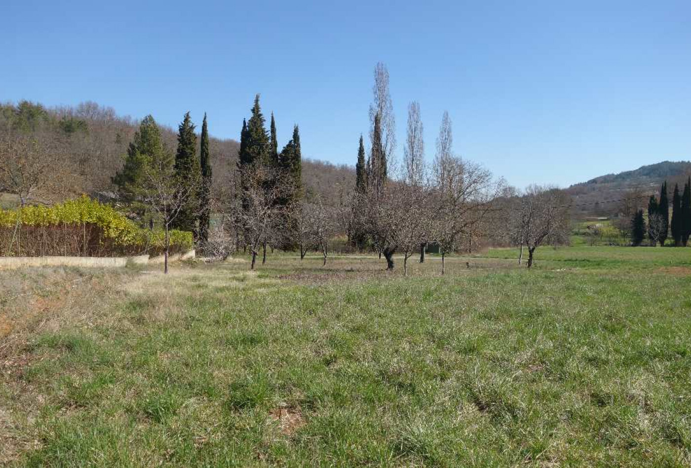 vente Terrain constructible Brenac - Photo 1