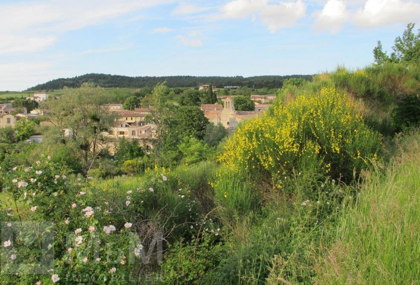 sale Maison Luc Sur Aude - Photo 5