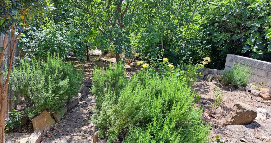 vente Maison Luc Sur Aude