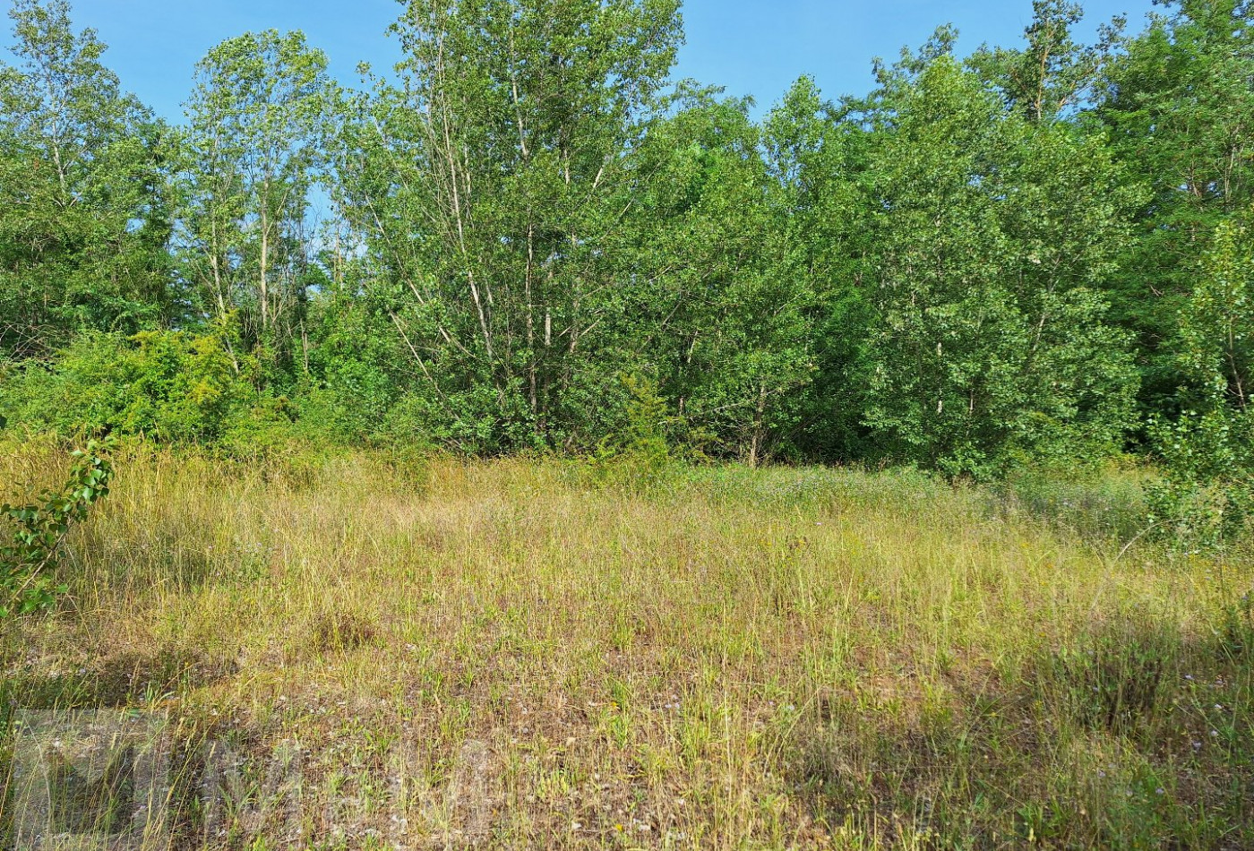 sale Terrain constructible Campagne Sur Aude - Photo 2