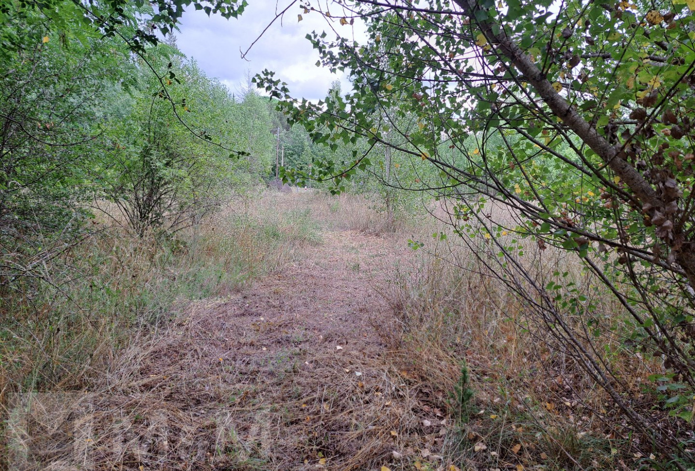 sale Terrain constructible Campagne Sur Aude - Photo 5